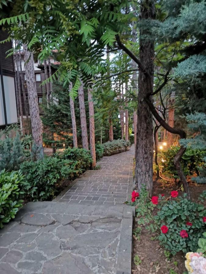 Quiet Apartment With Big Terrace In Santa Marina With Parking Sozopol Exterior foto