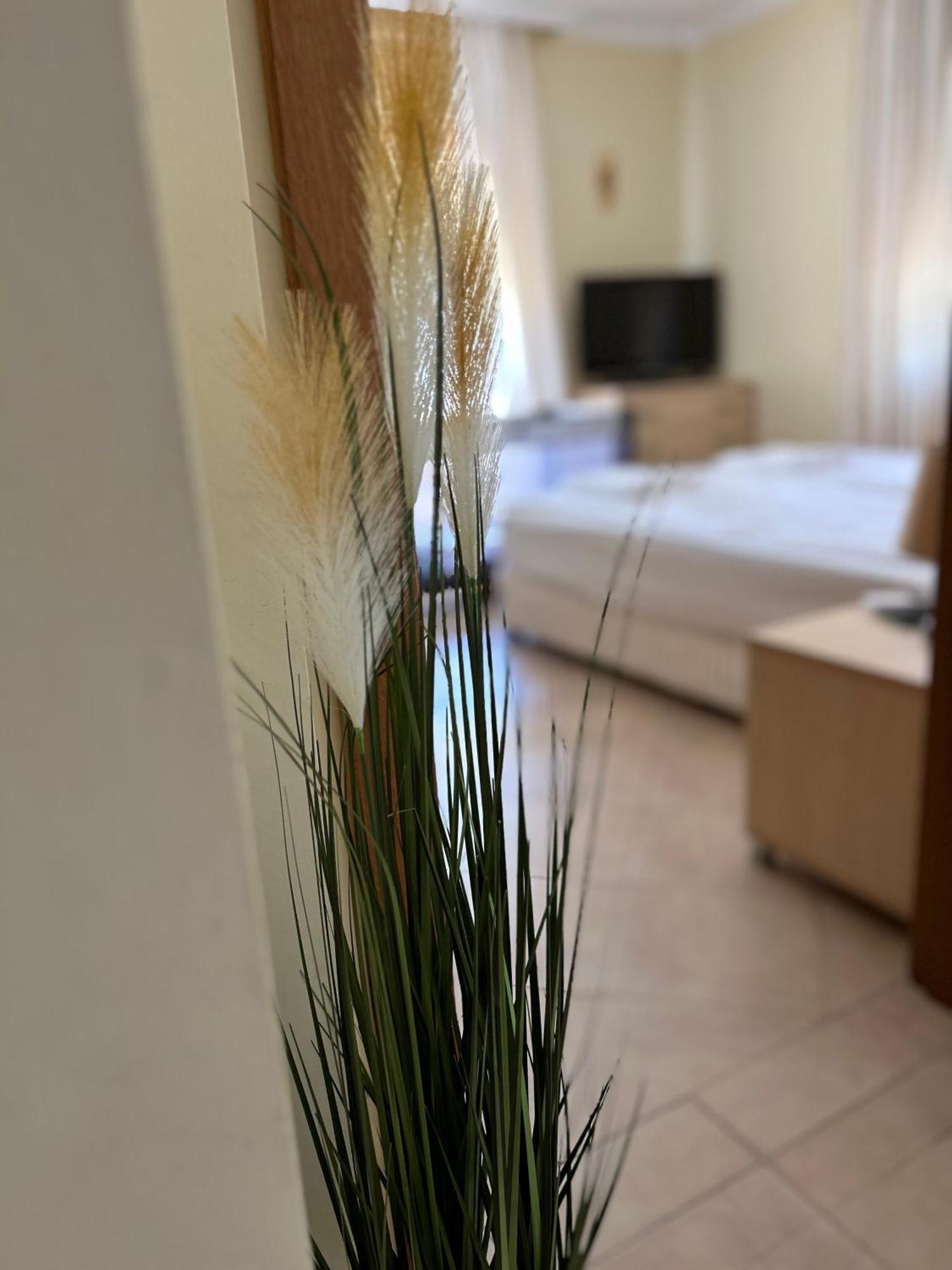 Quiet Apartment With Big Terrace In Santa Marina With Parking Sozopol Exterior foto